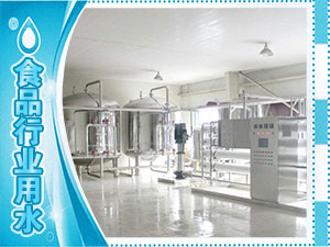 食品廠(chǎng)、水廠(chǎng)生產(chǎn)用水系列